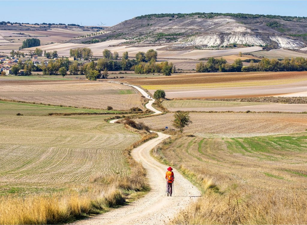 Camino de Santiago